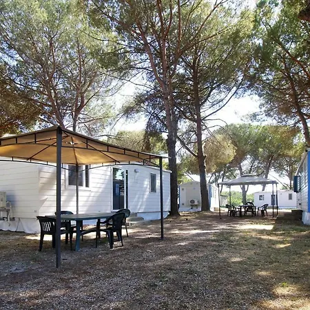 Caravan Park - Ila02101h-mya * Rom